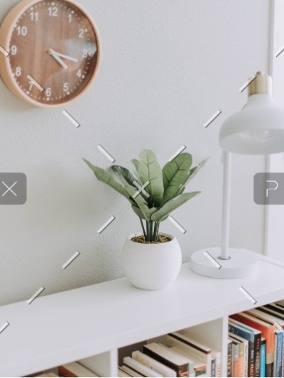 demo-attachment-855-samantha-gades-761364-unsplash